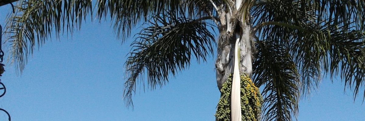 MoonEbin's profile banner image
