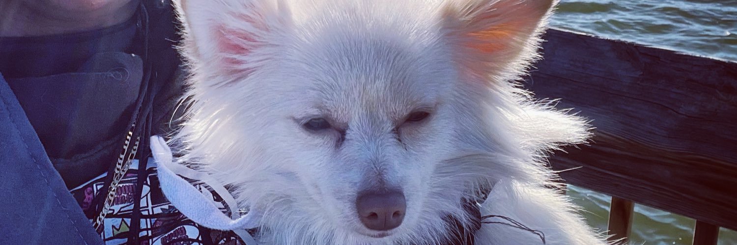 ChristaAshford's profile banner image