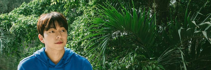 NTCKK_1998's profile banner image