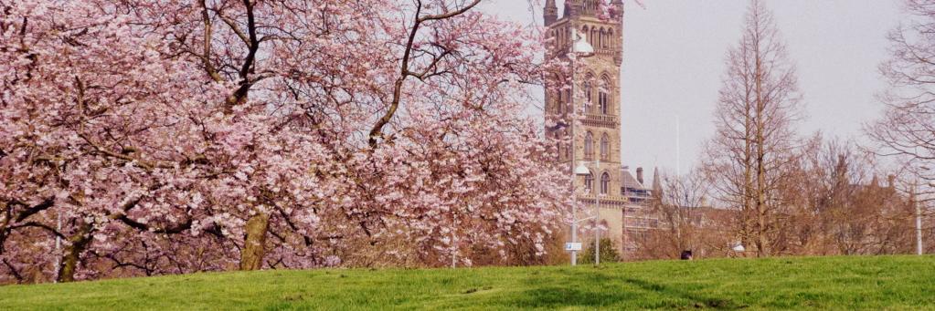 Karyl_selfair's profile banner image