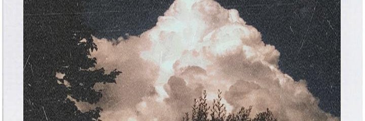 flopasssss's profile banner image