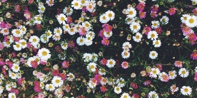 SkylarMarieR's profile banner image