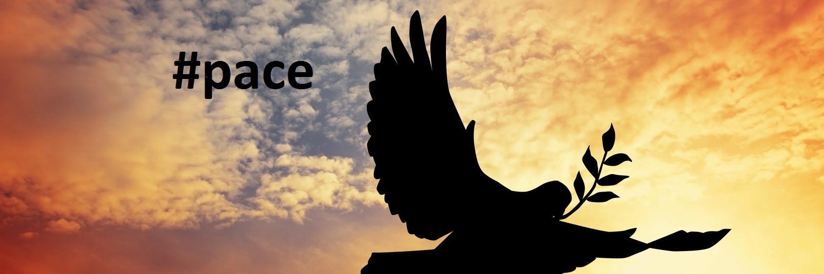 chicercate's profile banner image