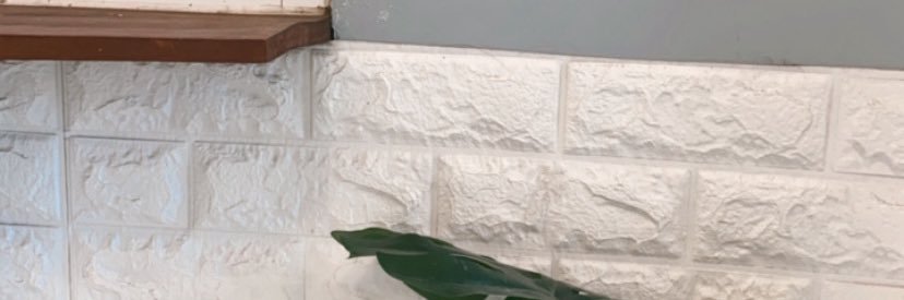 mnstrdn's profile banner image
