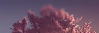 Wii_Motion_Plus's profile banner image