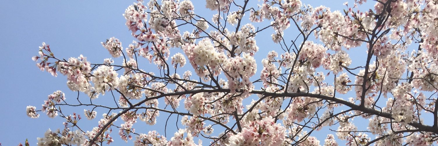 kyon0141's profile banner image