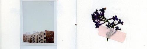 jasmineskr's profile banner image