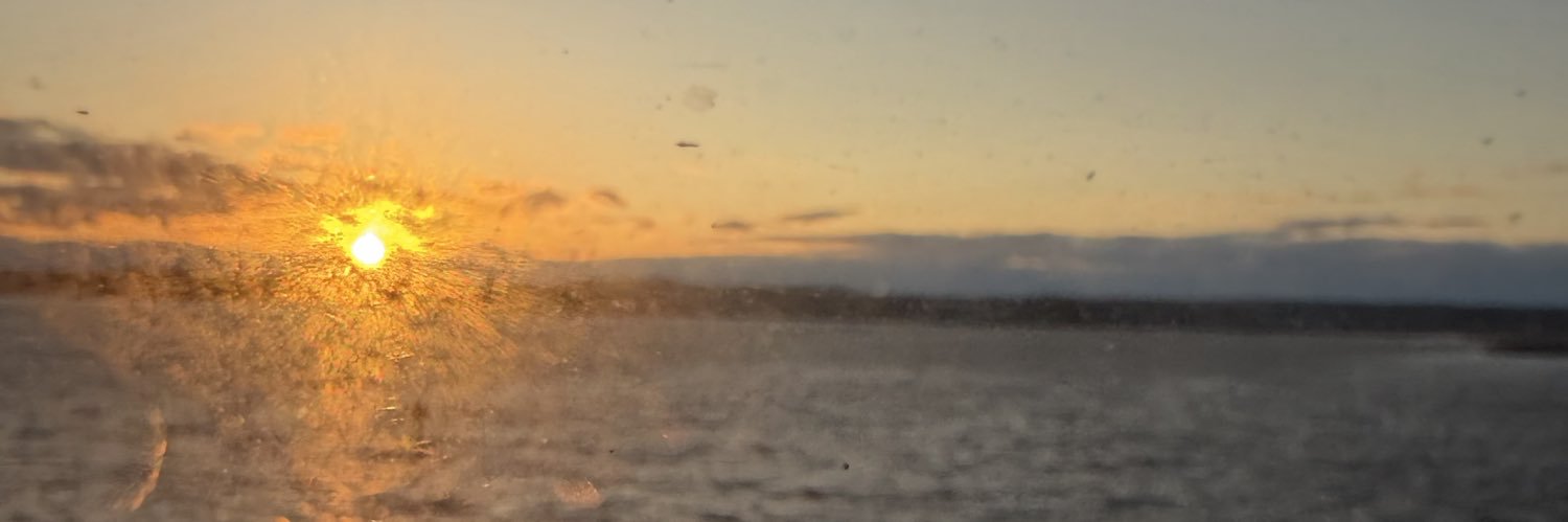 simtayro's profile banner image