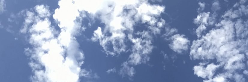 まみすけ banner