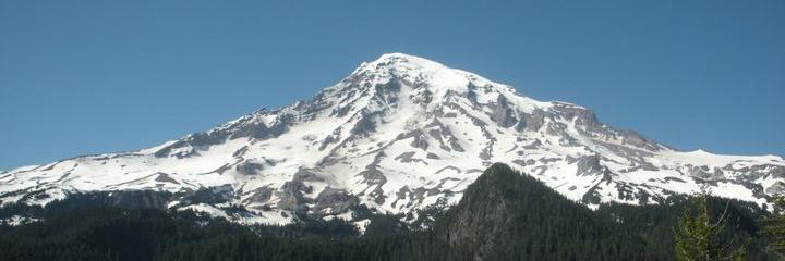 Michael Leonard banner