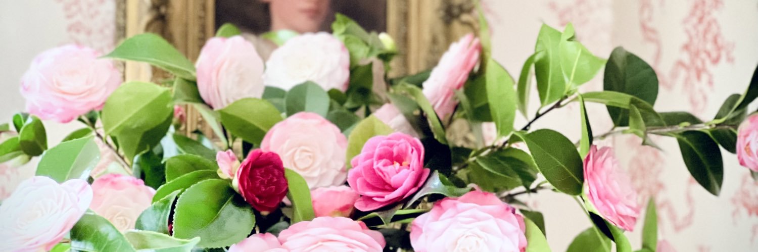 Pinkpiggy8's profile banner image