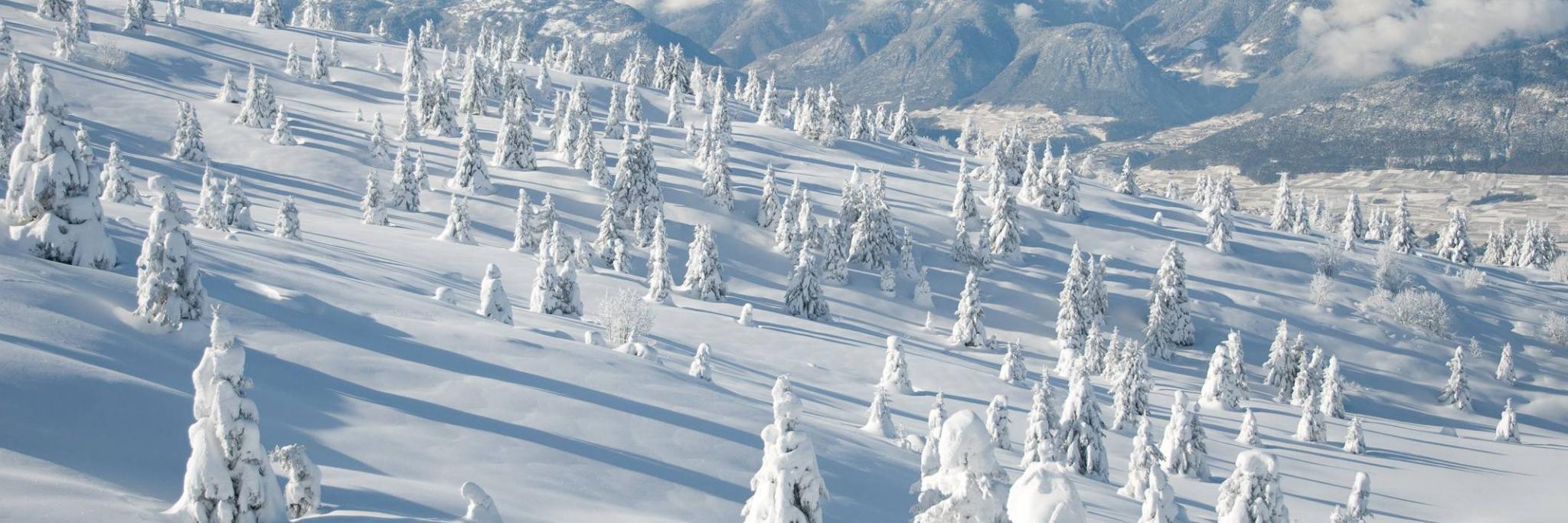ChaletNumerique's profile banner image
