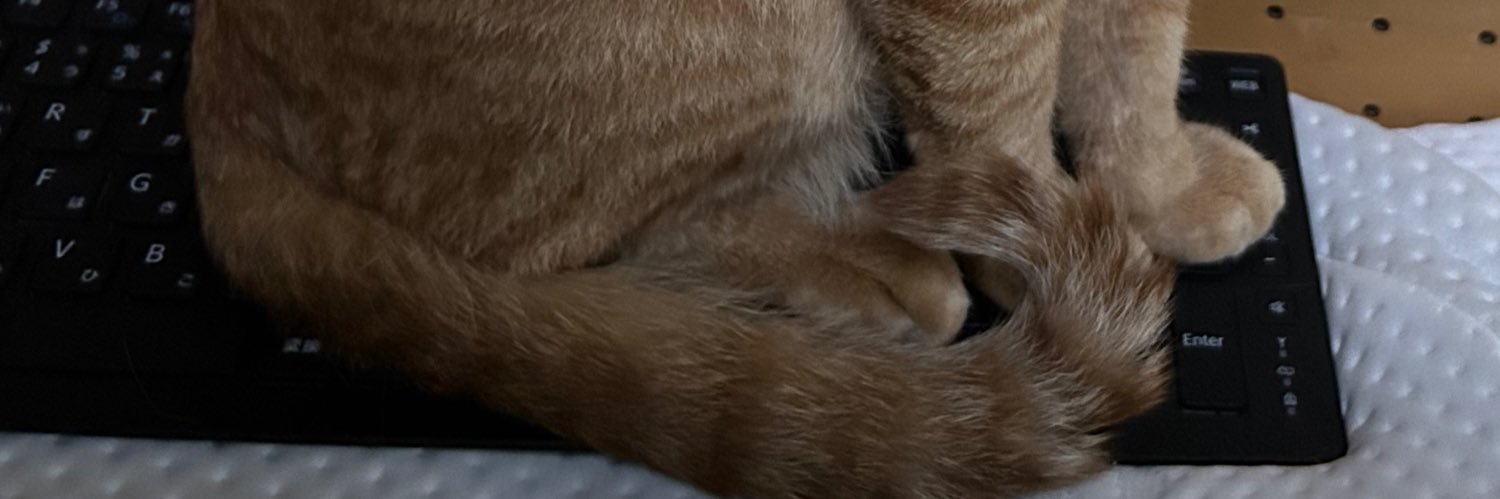 5296ikmn44's profile banner image