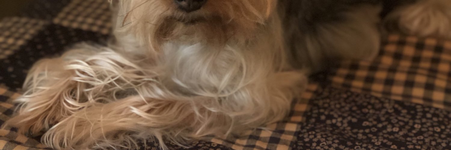 SarahPusch1's profile banner image