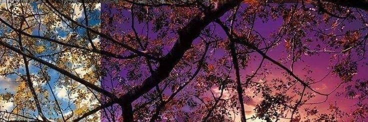 luzifer745's profile banner image