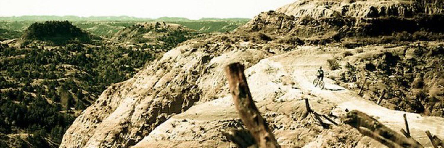 nweselake's profile banner image