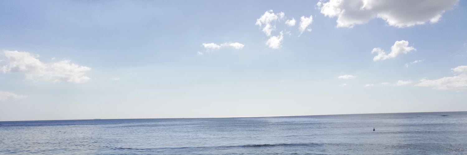 Osvalsoto79's profile banner image