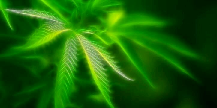 AneesRcb's profile banner image