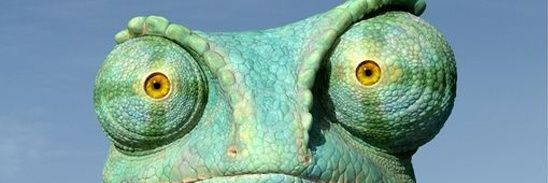 roccodplayboy's profile banner image