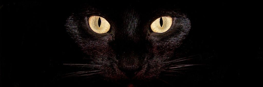 MahfudAndrea's profile banner image