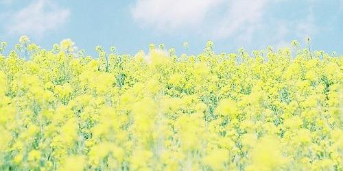 Cen__as's profile banner image