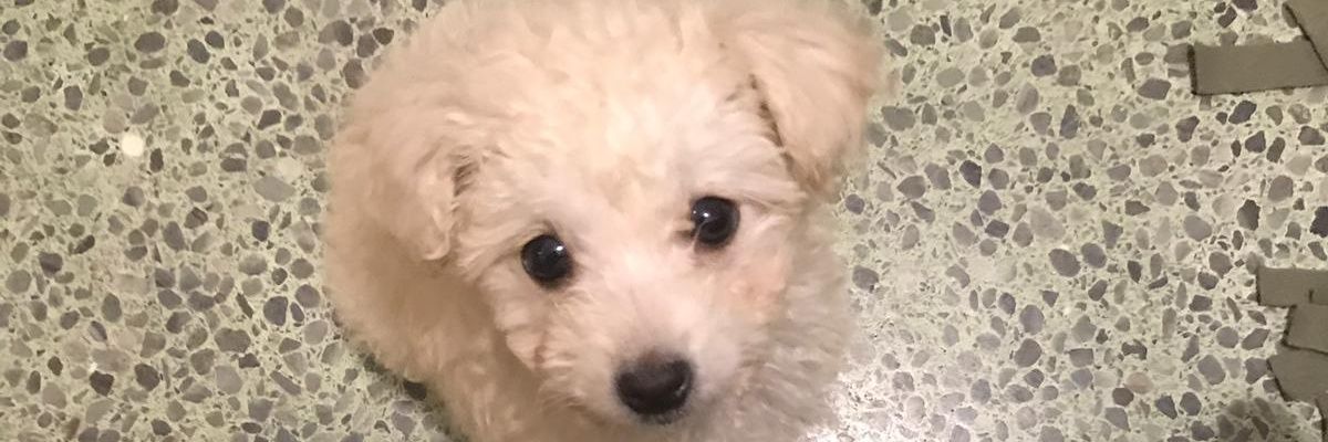 abeneron's profile banner image