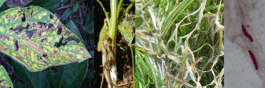 UNL Plant Path Grads banner