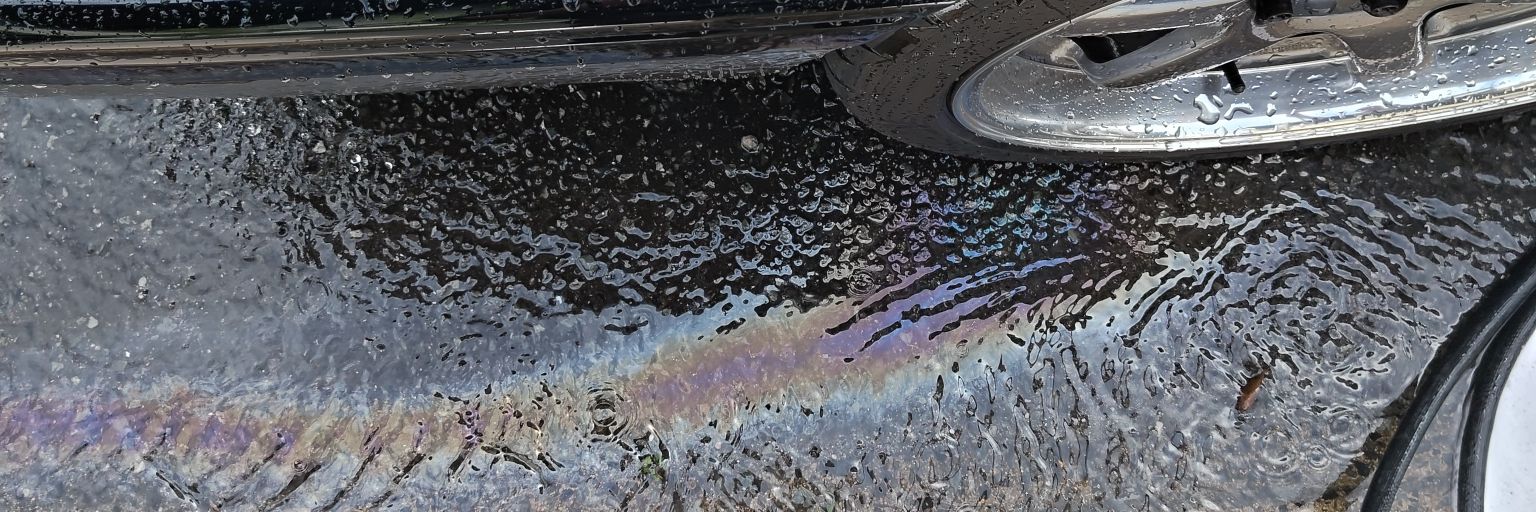 R31_Lynette's profile banner image