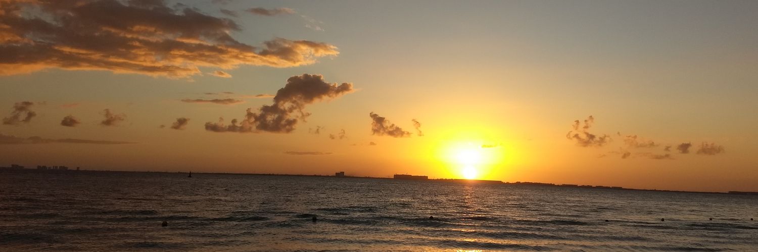 alinisCrg's profile banner image