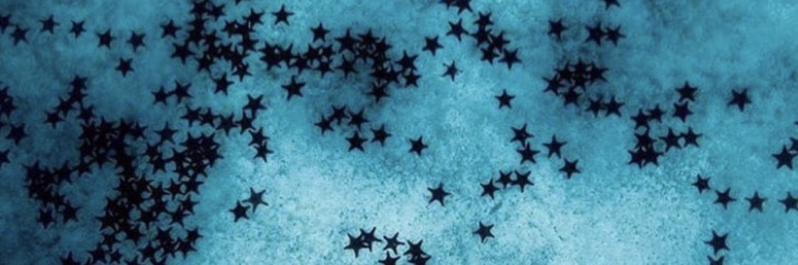 FALSHEHHI77's profile banner image