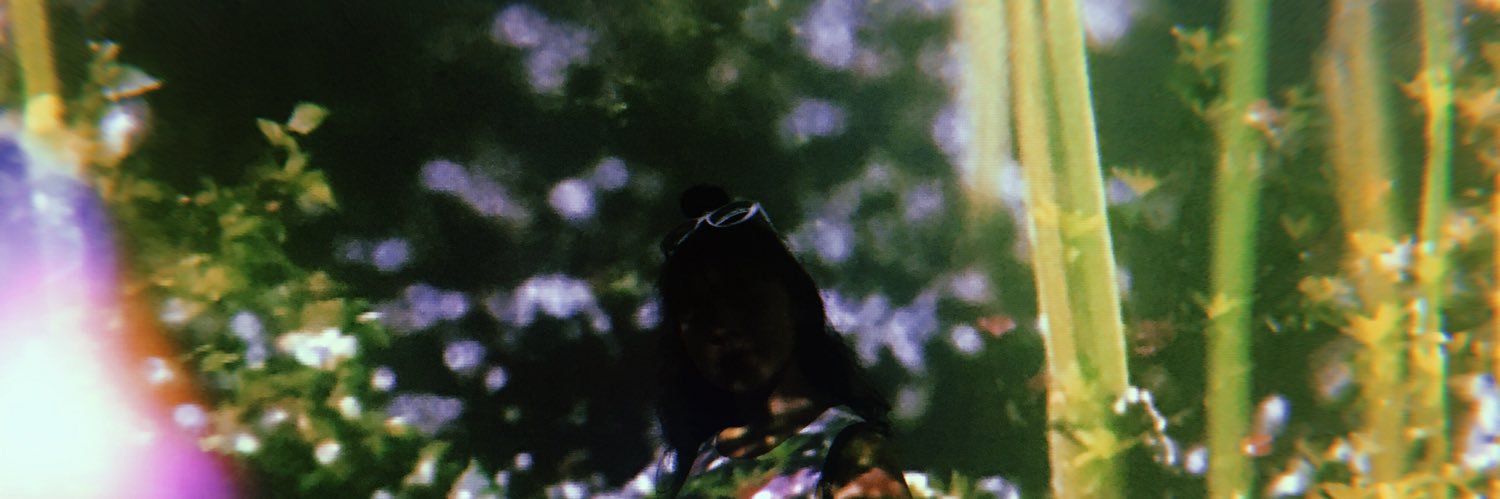 bummydaze's profile banner image