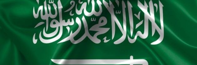 ali-mojamamy banner