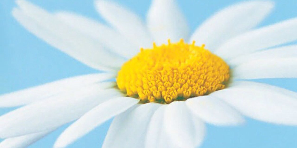 angmiller11's profile banner image