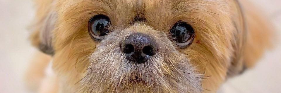 arantoinette_'s profile banner image