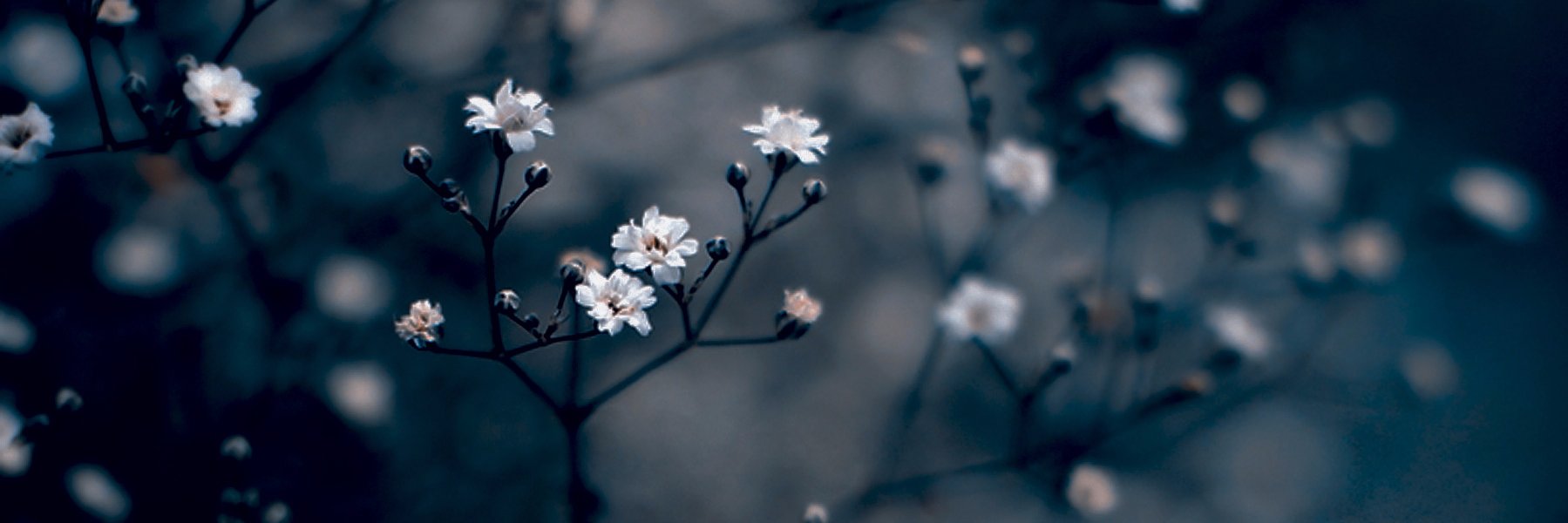 Katie___21's profile banner image