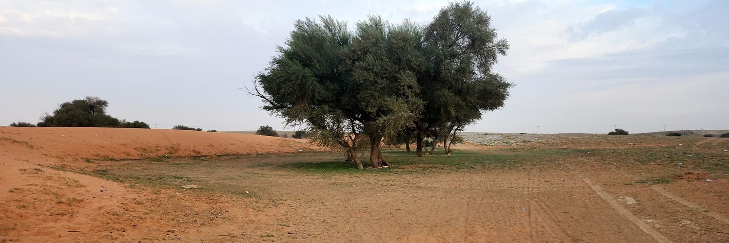 alnaserab's profile banner image