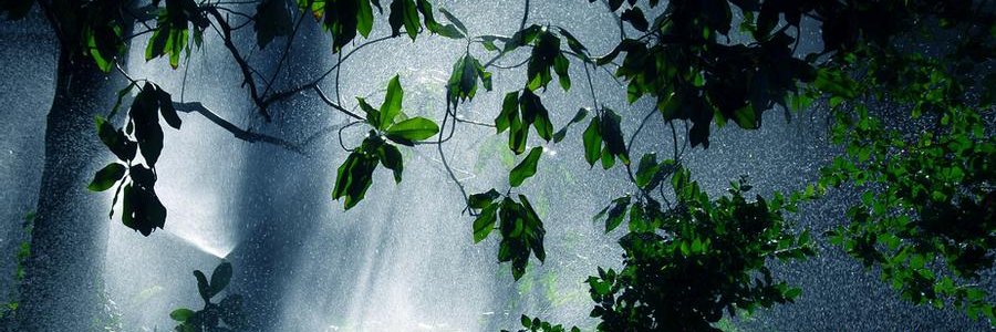 raipyer99's profile banner image