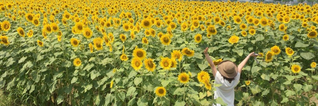 _piyosuke_'s profile banner image
