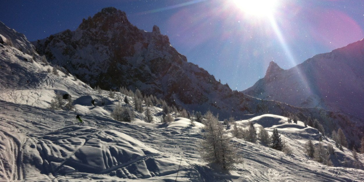 Stew 💙💛🏆 banner