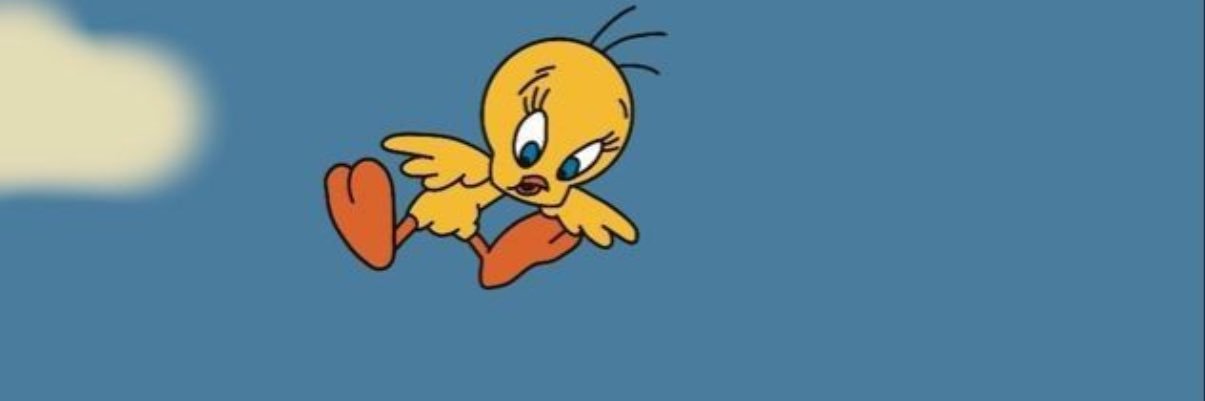 selebre_ss's profile banner image