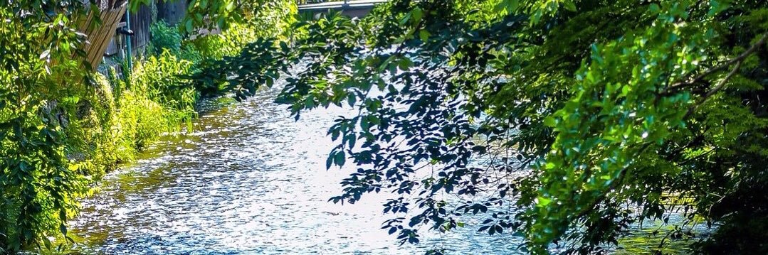 ren_can24's profile banner image