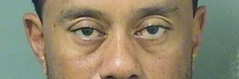 thestoopkidd's profile banner image
