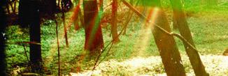 SantaBlazer's profile banner image