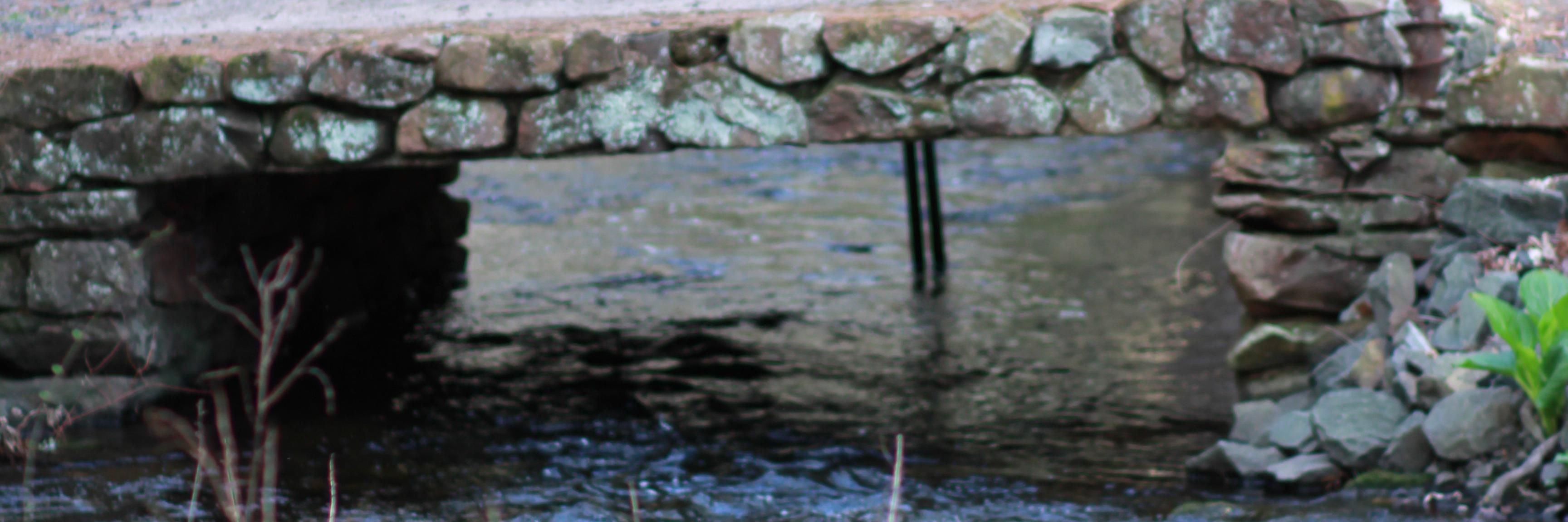 clparsons's profile banner image