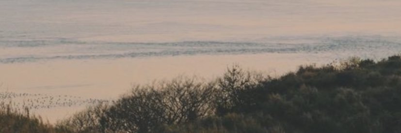 lenatrinilsr's profile banner image