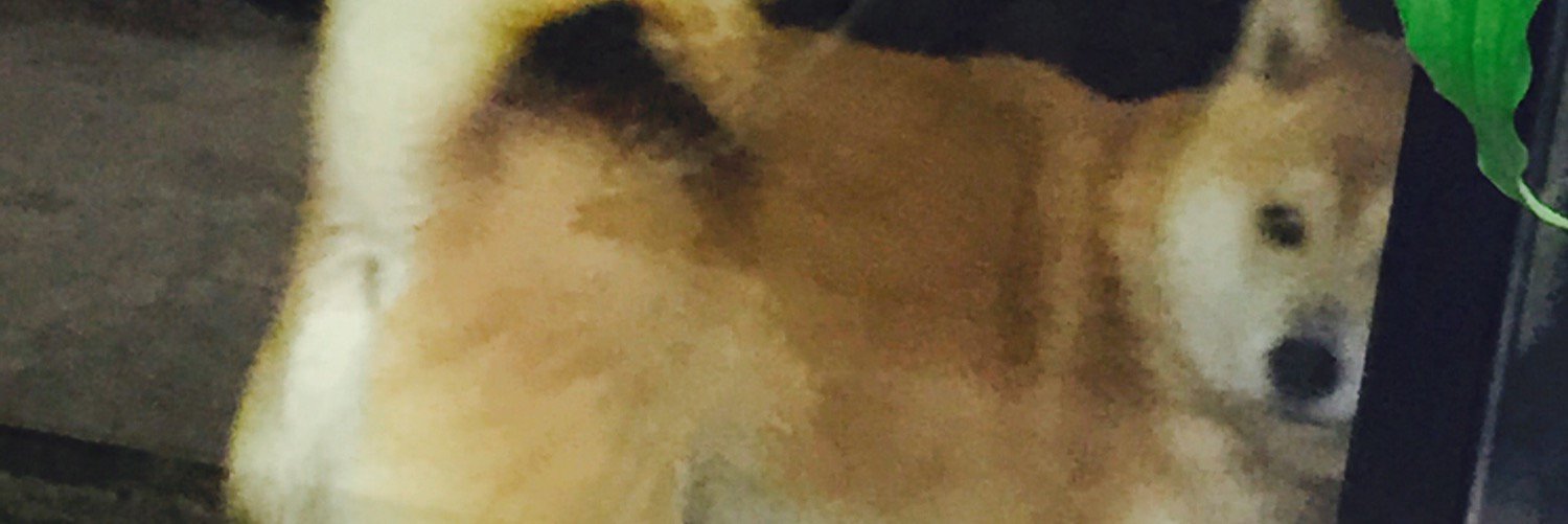Ryosu20k's profile banner image