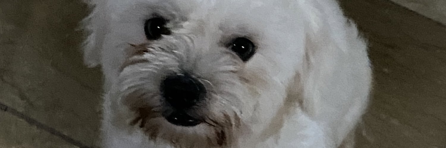 Rakadhing's profile banner image