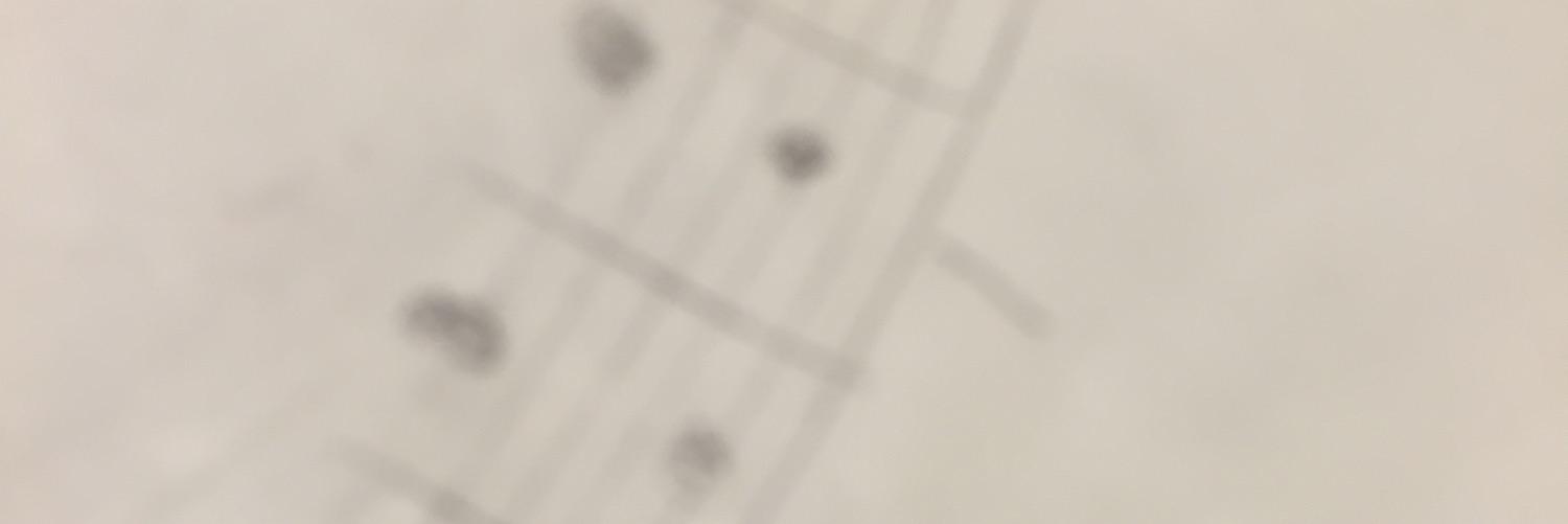 kaohoppo's profile banner image