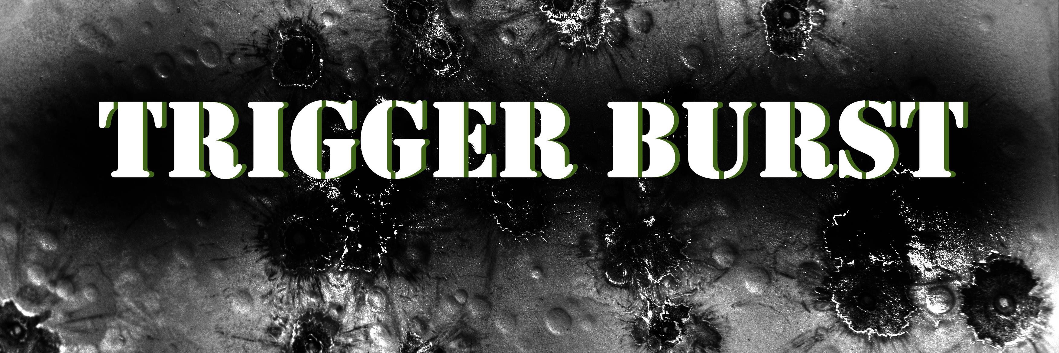 triggerburst's profile banner image