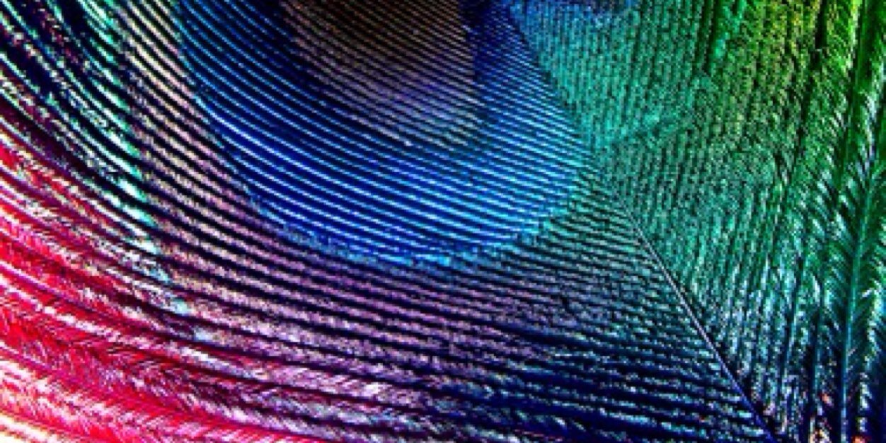 HWilliams120283's profile banner image